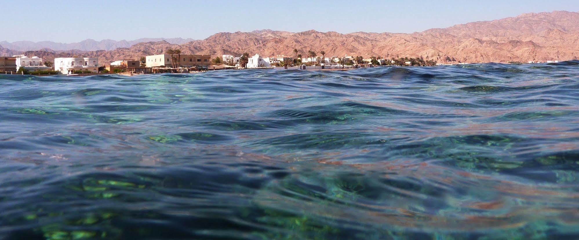 La Reine Dahab Hotel Exterior photo